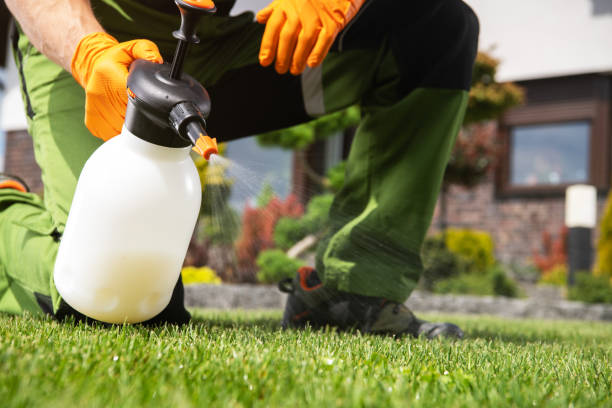 Pest Prevention Services in Spring Hill, TN
