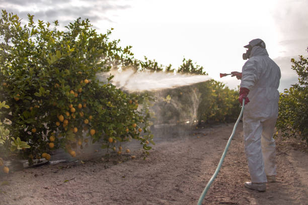 Best Bed Bug Extermination  in Spring Hill, TN