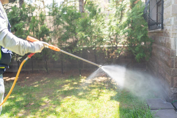 Spider Control Near Me in Spring Hill, TN