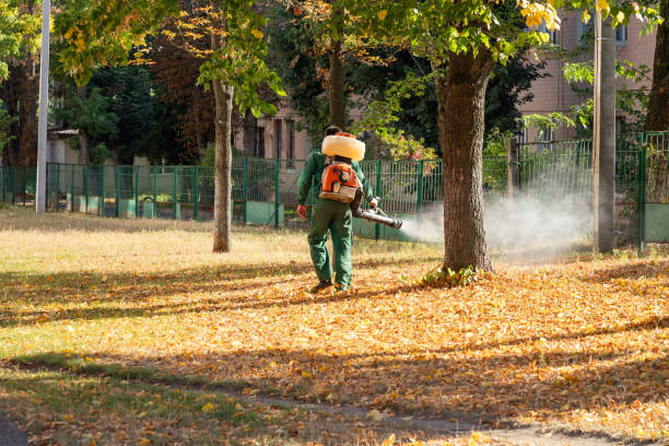 Flea Control Services in Spring Hill, TN